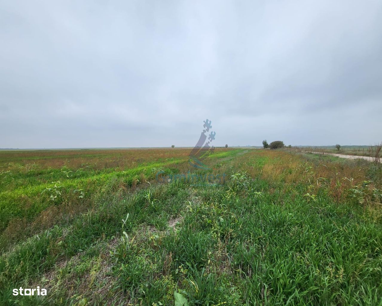 Gaminvest Teren intravilan de vanzare in Nojorid, Bihor, V3019