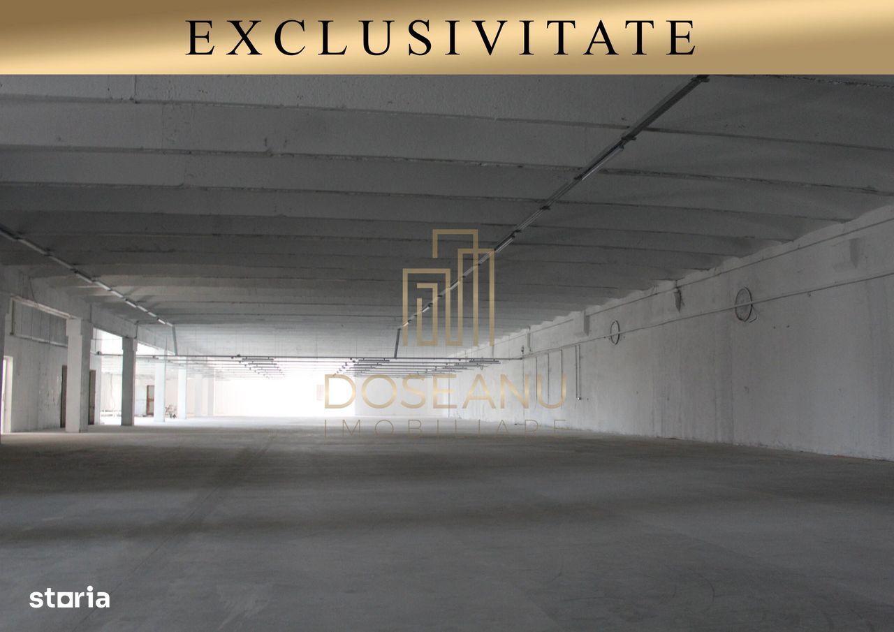Spatiu Industrial - Hala | Les | Bihor