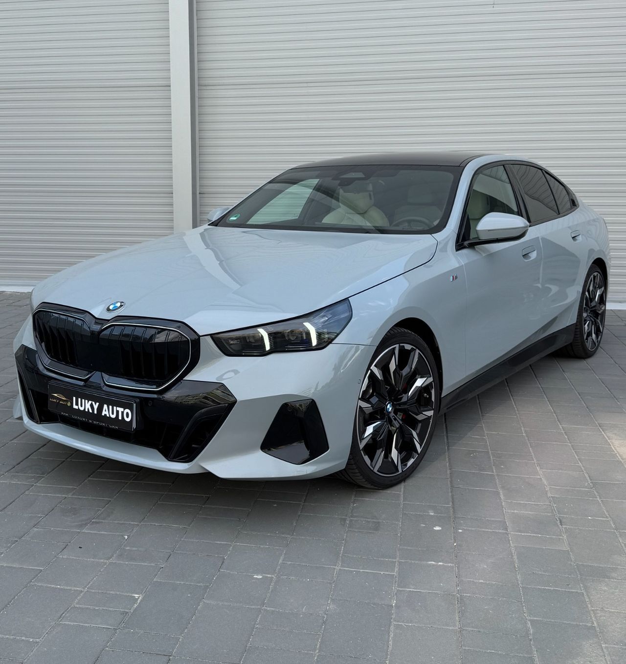 BMW Seria 5 M-Pachet 520i Hibrid Rate/Credit Garantie Transport Gratuit