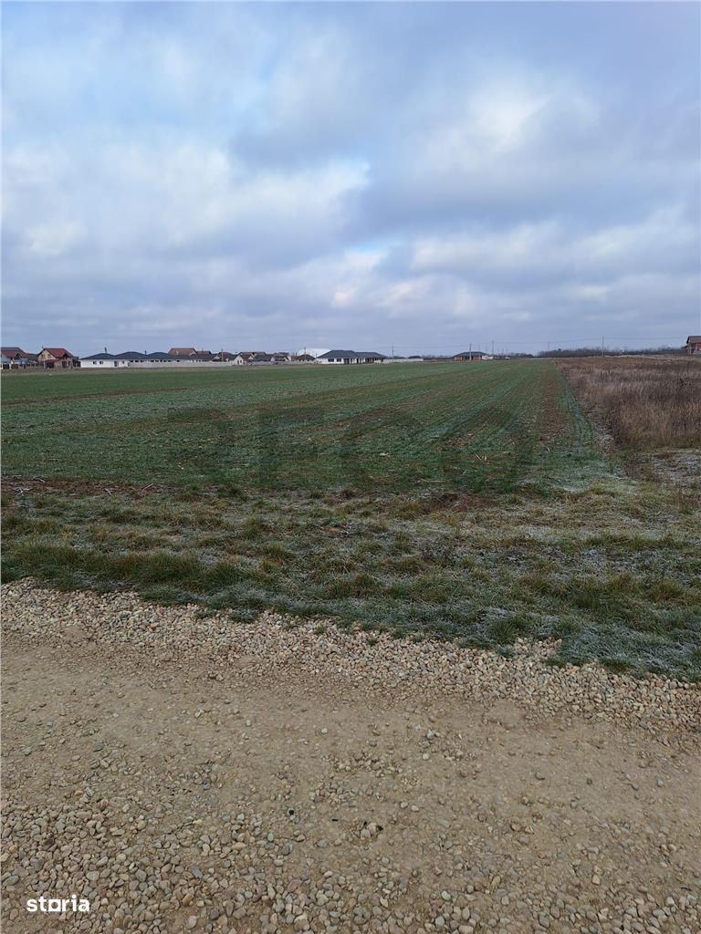 RECO  Teren intravilan- dublu front stradal Nojorid