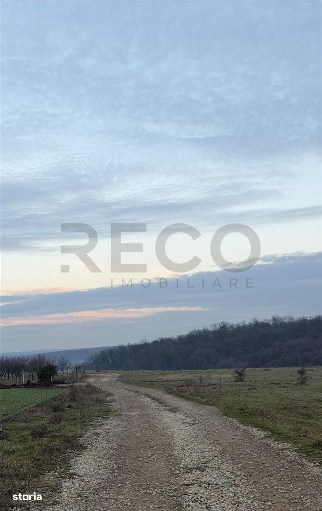RECO Teren intravilan langa padure Pausa