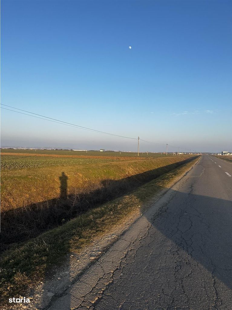 Teren Industrial Oradea spre Livada