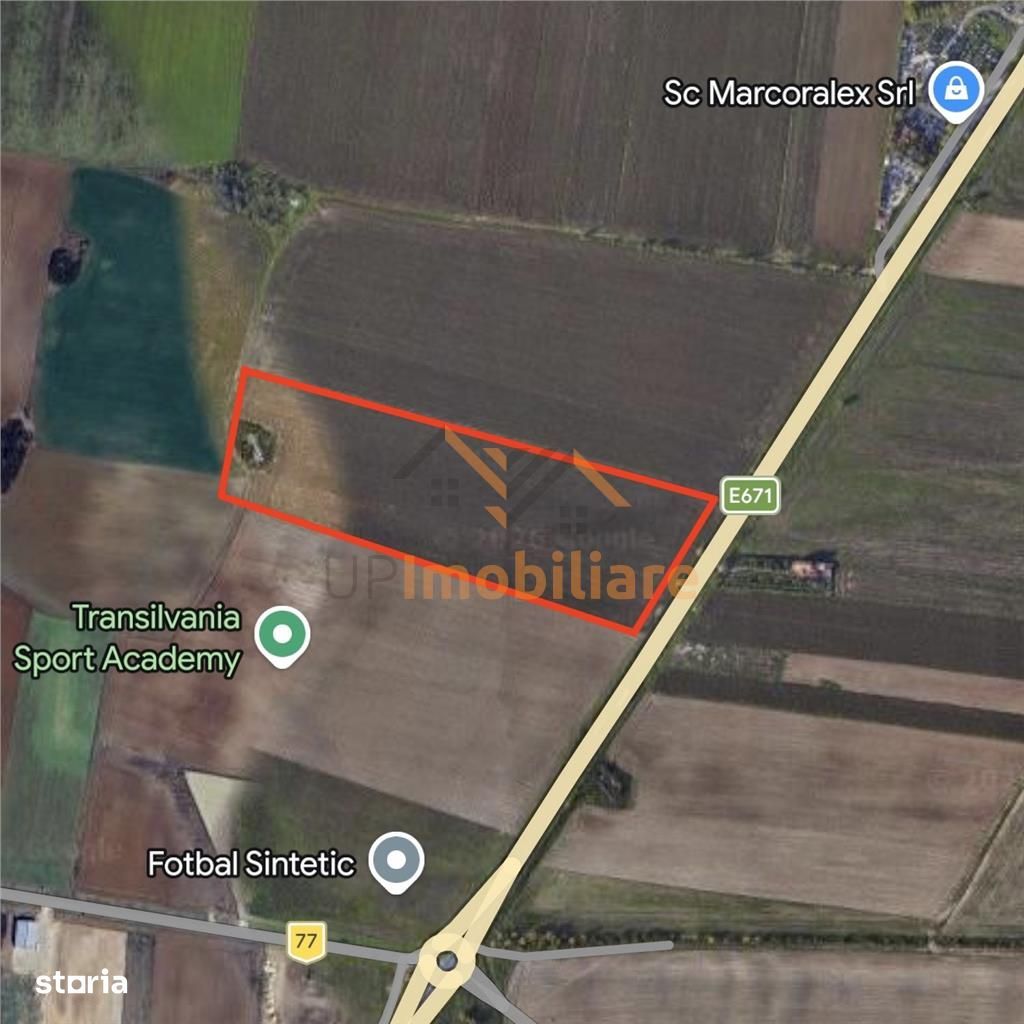 Teren Intravilan 24457 Mp | 80 Ml Front Stradal | Oradea | Bihor