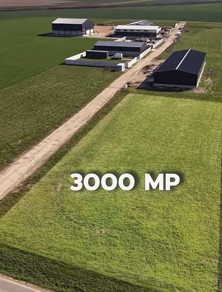 Teren de vânzare 3.002 mp Livada de Bihor zonă investiție