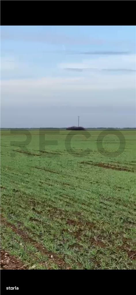 RECO Teren extravilan, zona Industriala in Livada de Bihor