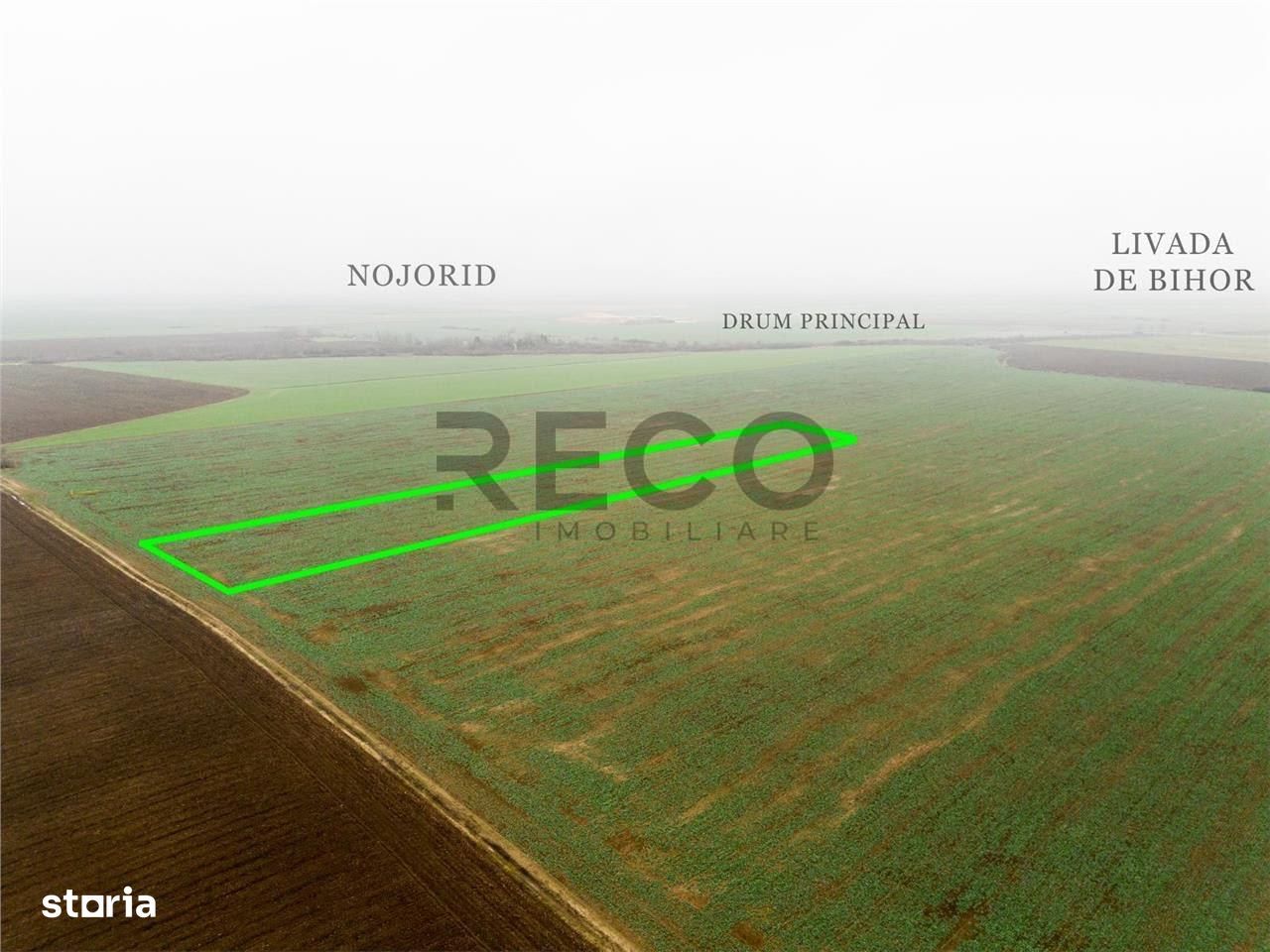 RECO Teren extravilan 5800 mp Livada de Bihor