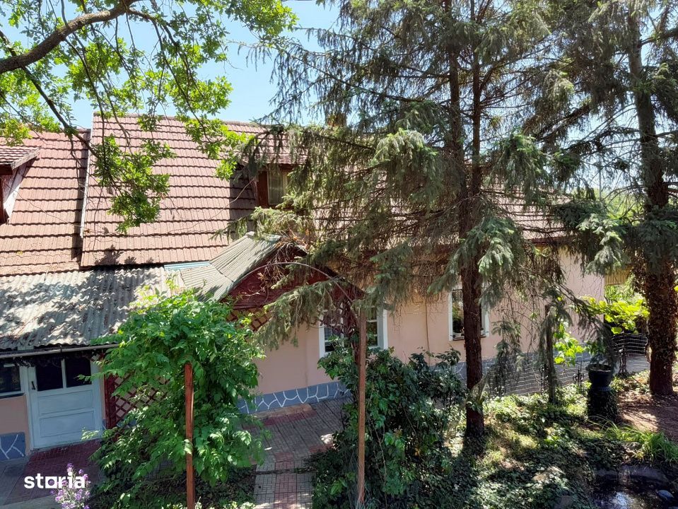 Casa de vanzare cu teren generos de 6.732 mp la E671 Les, Bihor