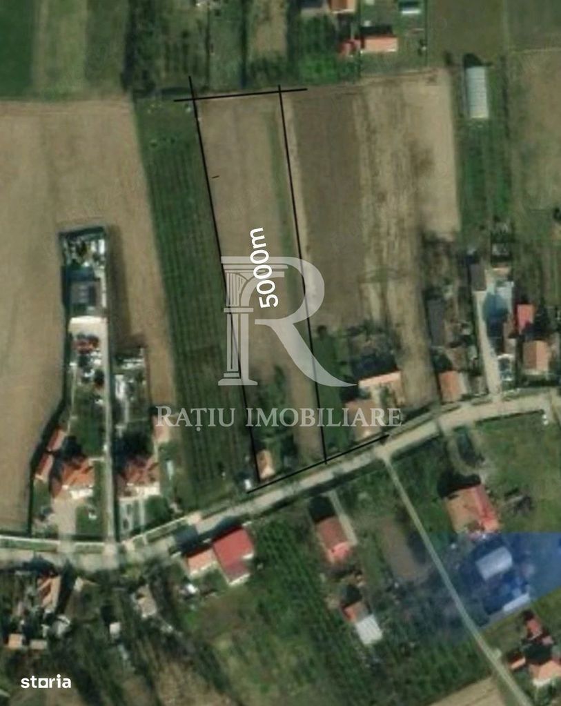 Teren intravilan 5.000 mp de vânzare | Leș
