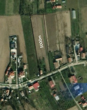 Teren de vânzare în leș