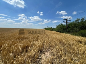 Teren arabil in Nojorid. Investiție sigură la preț excelent