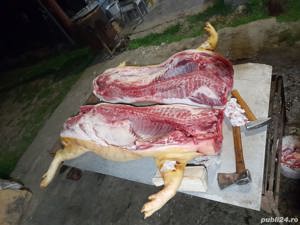 porci in carcasa