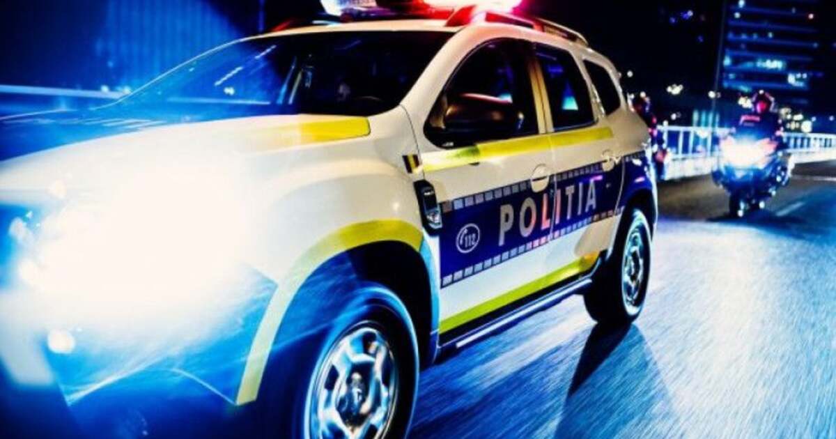 10 luni de închisoare pentru un șofer băut, care a lovit un polițist și a fugit în pădure