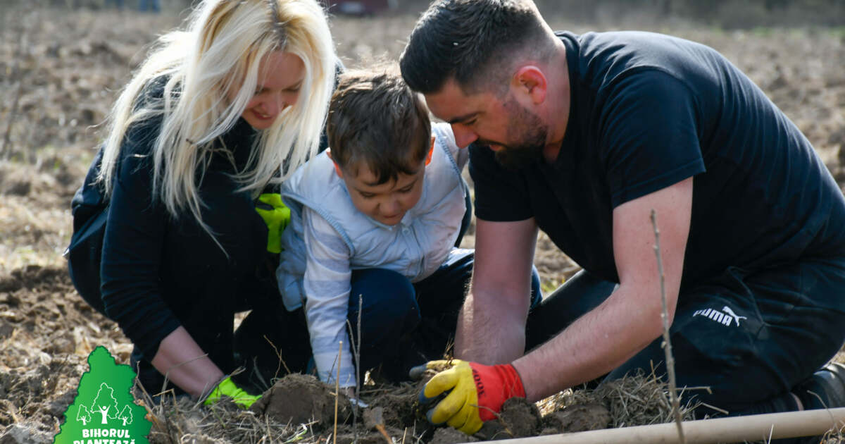 „Bihorul Plantează”, ediția a V-a. Sute de copii și părinți au plantat 25.000 de puieți