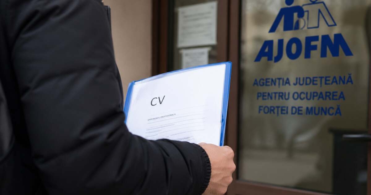 Oferta de joburi în Bihor, la sfârșit de aprilie: transport, producție și servicii