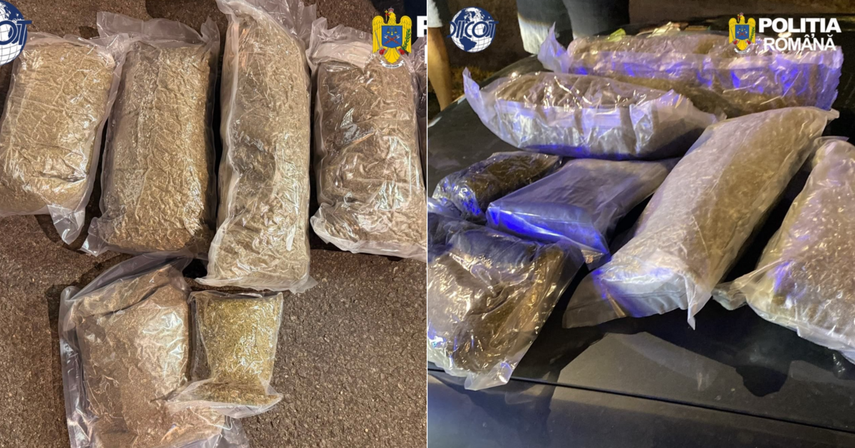 Captură de droguri în Nojorid. Trei tineri au fost prinși când transportau 5 kilograme de canabis