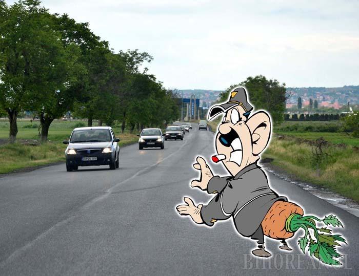 Drum bum! Constructorii de pe DN79 n-au trasat marcajele pe ruta Oradea-Nojorid