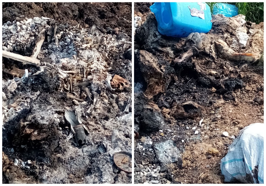 Cunoscutul producător de mezeluri Andromi, amendat de Garda de Mediu Bihor pentru că ar fi ars oase în Nojorid. Patronul va contesta sancţiunea (FOTO / VIDEO)