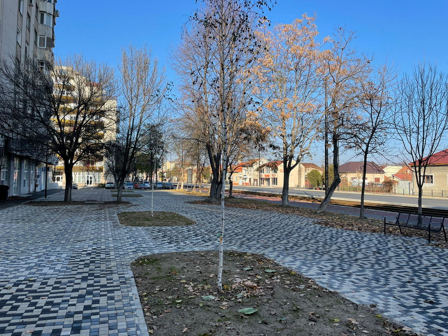 Şantierul din Nufărul - Cantemir, etapa „verde”: Peste 60 de tei plantaţi între străzile Arieşului şi Nojoridului din Oradea