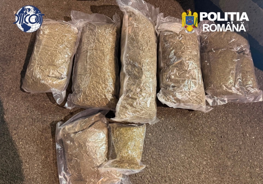 Flagrant în Nojorid! Prinși cu peste 5 kilograme de canabis, trei tineri au cerut arest la domiciliu. Ce a decis Tribunalul Bihor